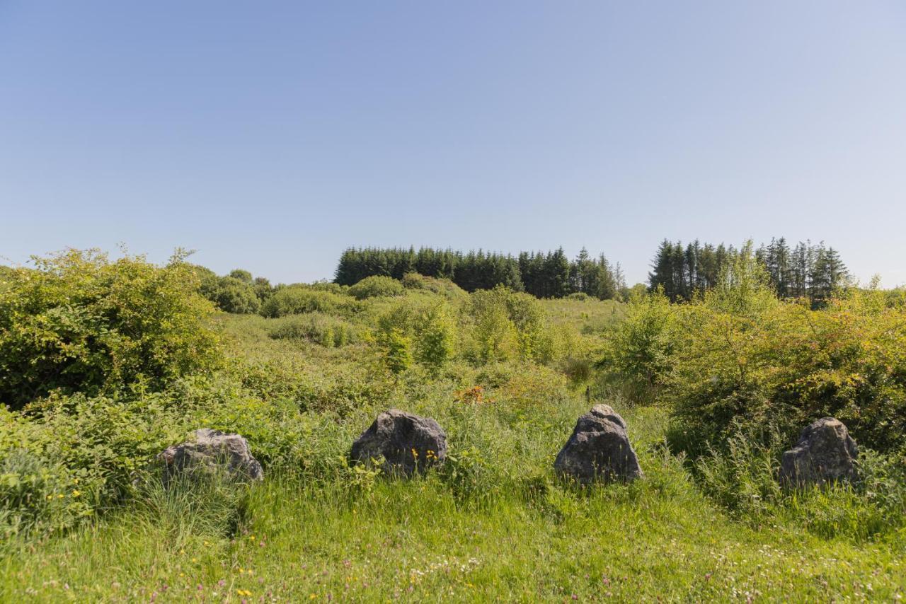 Kilfenora The Common Knowledge Centreホステル エクステリア 写真